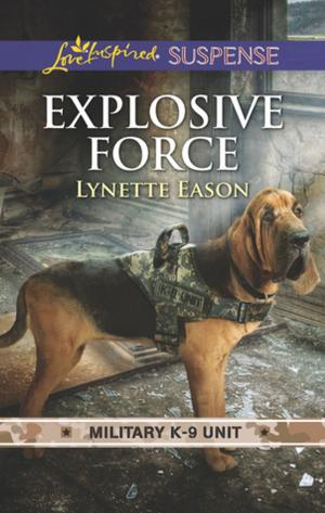 Cover of the book Explosive Force by Alyson Chase