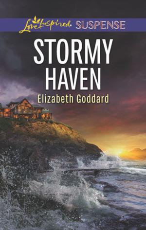 Cover of the book Stormy Haven by Amanda Stevens, Marilyn Pappano