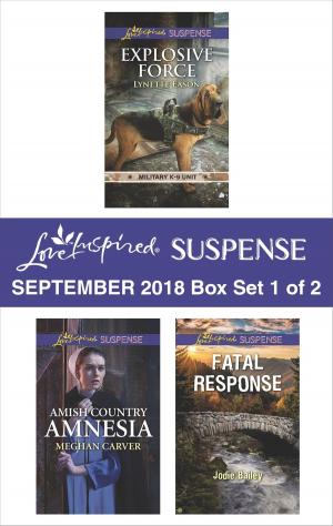 Cover of the book Harlequin Love Inspired Suspense September 2018 - Box Set 1 of 2 by Anna J. Stewart