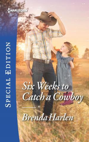 Cover of the book Six Weeks to Catch a Cowboy by Anne Mather