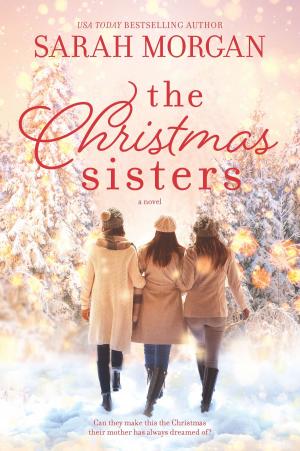 Cover of the book The Christmas Sisters by Laurie London