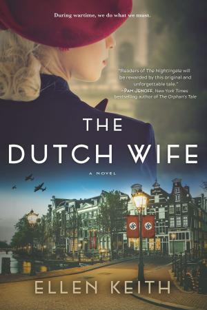 Cover of the book The Dutch Wife by Meredith May