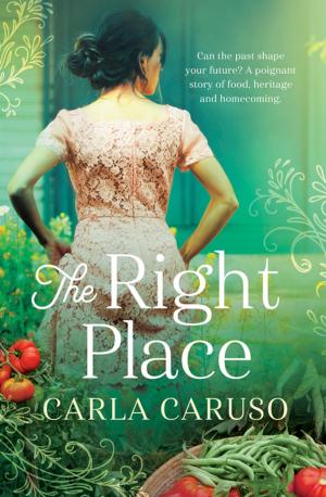 Cover of the book The Right Place by Serenity King
