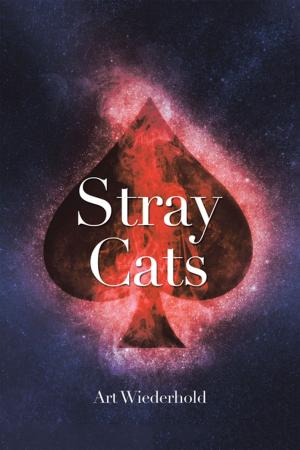 Cover of the book Stray Cats by Reverend Ellen Wallace Douglas