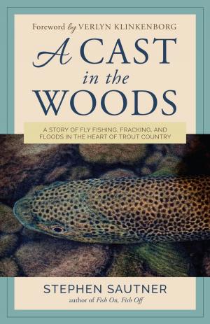 Cover of the book A Cast in the Woods by Catherine Schmitt