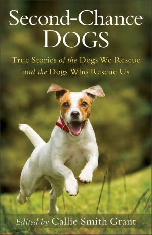 Cover of the book Second-Chance Dogs by Judith Pella