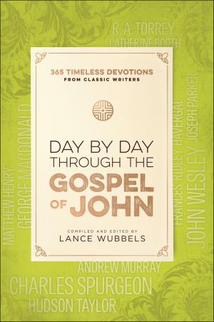 Cover of the book Day by Day through the Gospel of John by Lynette Eason