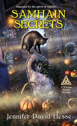 Cover of the book Samhain Secrets by Amy J. Fetzer