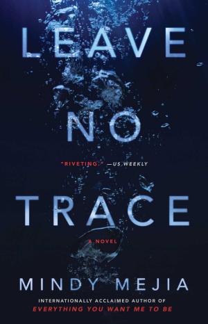 Cover of the book Leave No Trace by Cathi Hanauer