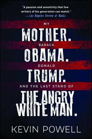 Cover of the book My Mother. Barack Obama. Donald Trump. And the Last Stand of the Angry White Man. by Aidan Storey