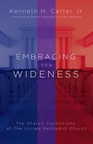 Cover of the book Embracing the Wideness by Matt Miofsky