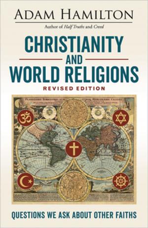 Book cover of Christianity and World Religions Revised Edition Large Print Edition