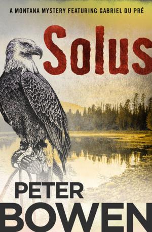 bigCover of the book Solus by 