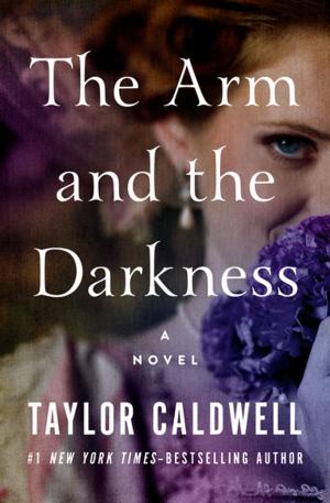 Cover of the book The Arm and the Darkness by Iris Murdoch