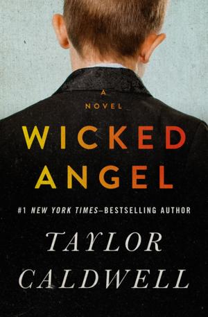 Cover of the book Wicked Angel by Lisa L Wiedmeier