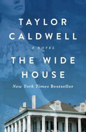 bigCover of the book The Wide House by 