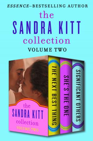 Book cover of The Sandra Kitt Collection Volume Two