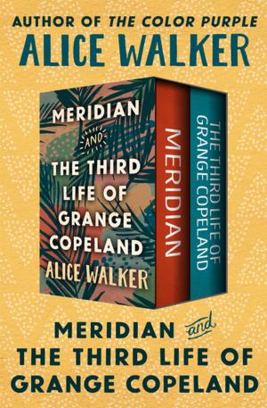 Cover of the book Meridian and The Third Life of Grange Copeland by Brian Freemantle