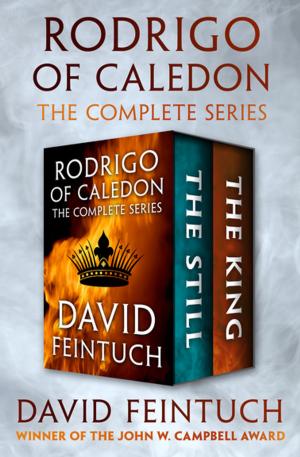 Cover of the book Rodrigo of Caledon by Lesley Glaister