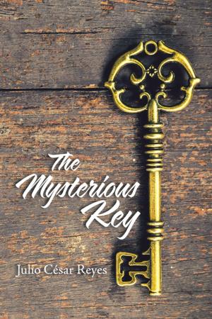 bigCover of the book The Mysterious Key by 