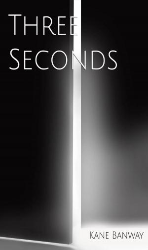 Cover of the book Three seconds by Roberto López-Herrero