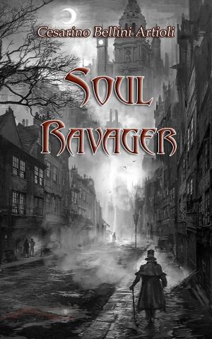 Cover of the book Soul Ravager by Efron Hirsch