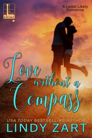 bigCover of the book Love without a Compass by 