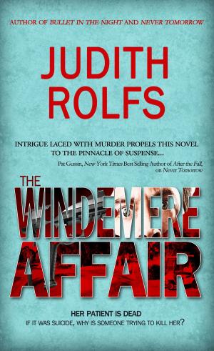 Cover of the book The Windemere Affair by Kimberly B. Jackson