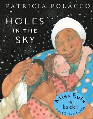Cover of the book Holes in the Sky by Nancy Krulik