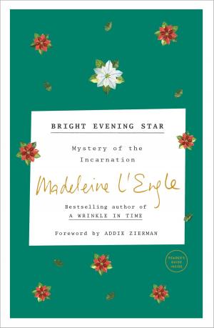 Cover of the book Bright Evening Star by Leslie Vernick