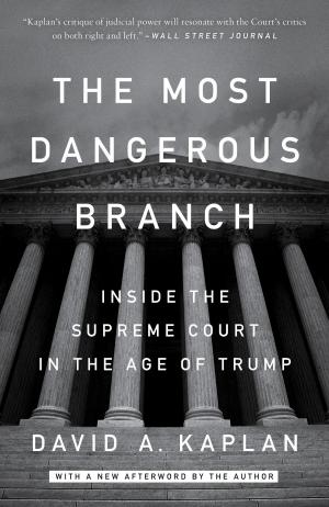bigCover of the book The Most Dangerous Branch by 