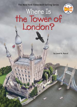 Cover of the book Where Is the Tower of London? by J.C.Blumen Violett