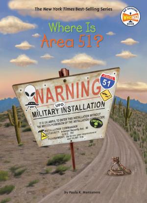 Cover of the book Where Is Area 51? by Sally Gardner