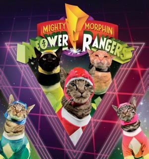 Cover of the book Meower Rangers by Sarah Fabiny, Who HQ