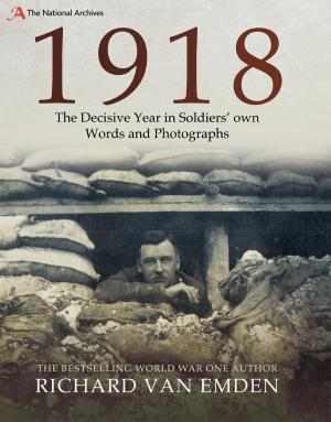 Book cover of 1918: The Decisive Year in Soldiers' Own Words and Photographs