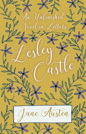 Book cover of An Unfinished Novel In Letters - Lesley Castle