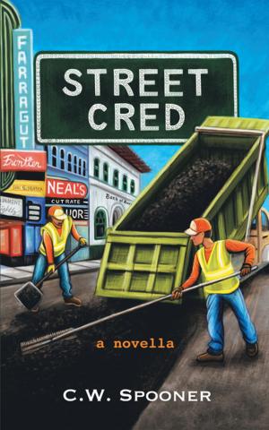 Cover of the book Street Cred by Allison Burnett