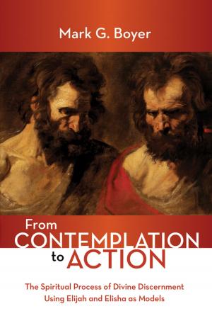 Cover of the book From Contemplation to Action by Marty Alan Michelson
