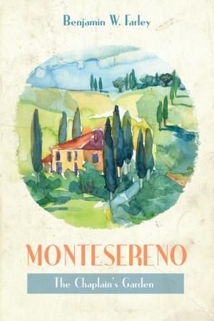 Cover of the book Montesereno by Olli-Pekka Vainio