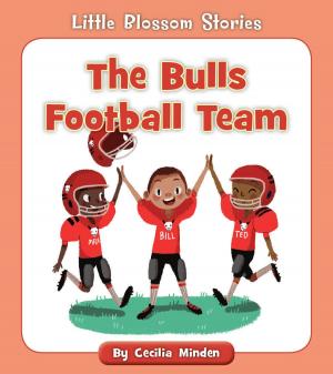 Cover of The Bulls Football Team