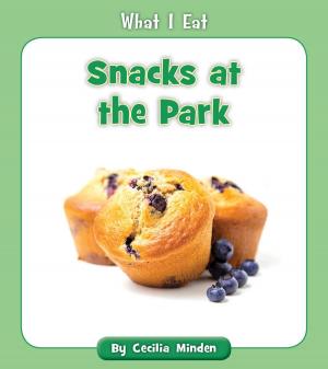 Cover of the book Snacks at the Park by Seungsook Yang