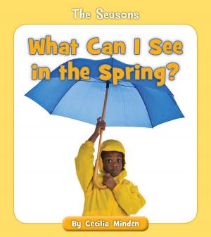 Cover of the book What Can I See in the Spring? by Cecilia Minden
