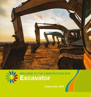 Cover of the book Excavator by J. E. Skinner