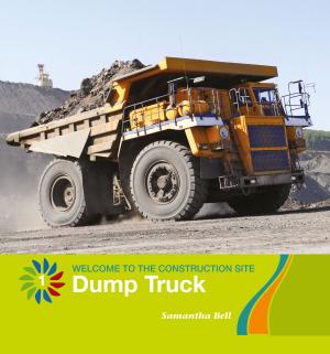 Book cover of Dump Truck