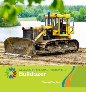 Cover of the book Bulldozer by Kristin Fontichiaro