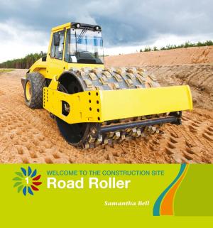Cover of the book Road Roller by Josh Gregory