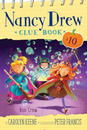 Cover of the book Boo Crew by Beatrice Gormley