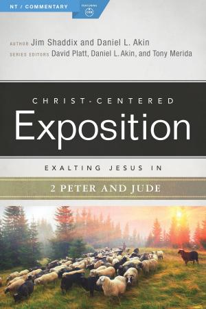 Cover of the book Exalting Jesus in 2 Peter, Jude by John Borek, Danny Lovett, Elmer L. Towns