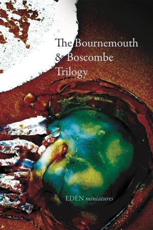 Cover of the book The Bournemouth & Boscombe Trilogy by Nancy Huston