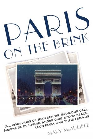 Cover of the book Paris on the Brink by D. Bruce Roberts, Robert E. Reber, Interm President